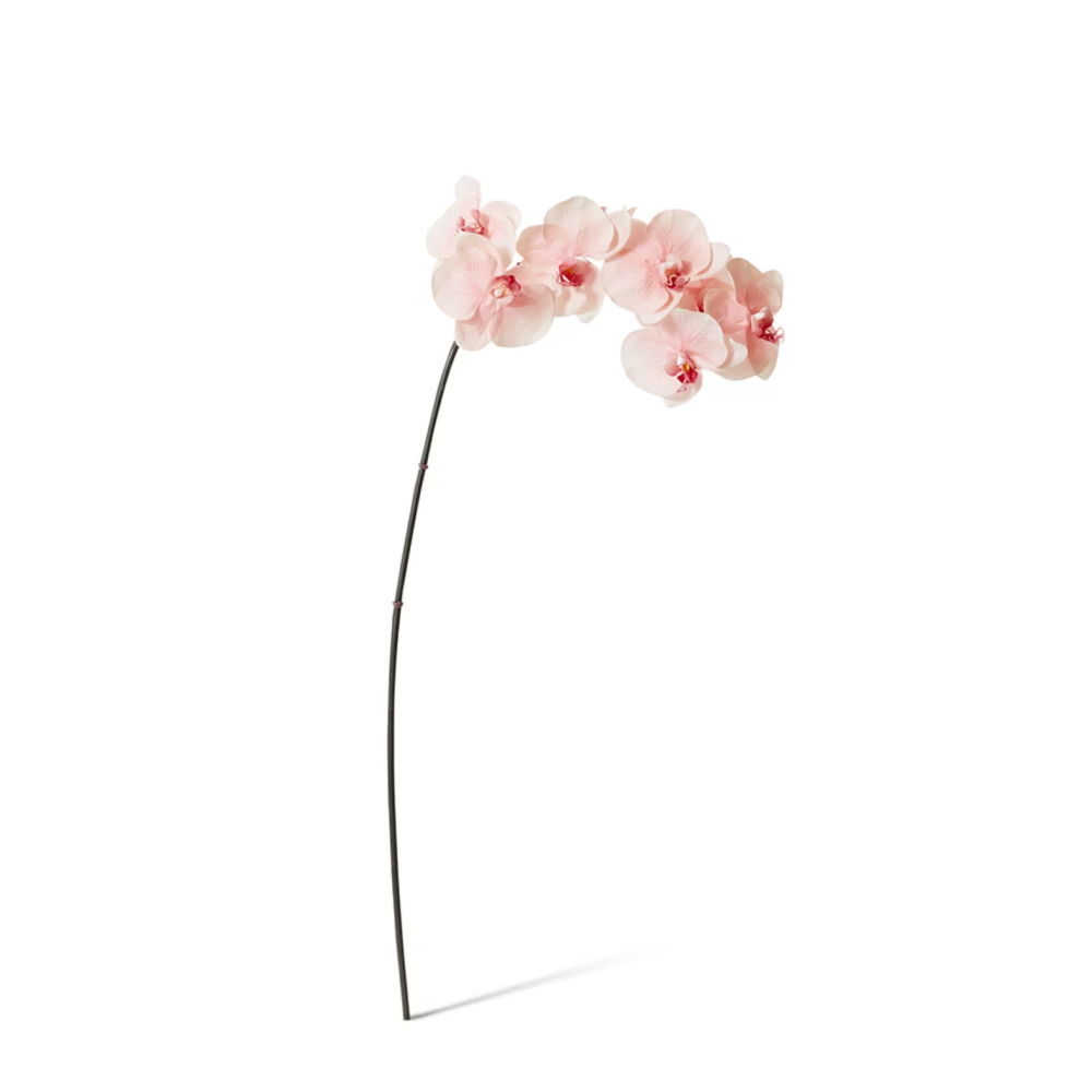 Artificial Phalaenopsis Orchid Decor Stem - Soft Pink - 95cms