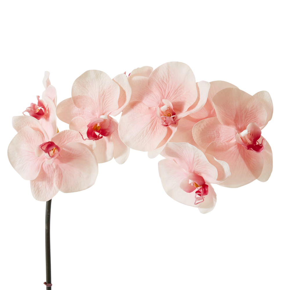 Artificial Phalaenopsis Orchid Decor Stem - Soft Pink - 95cms