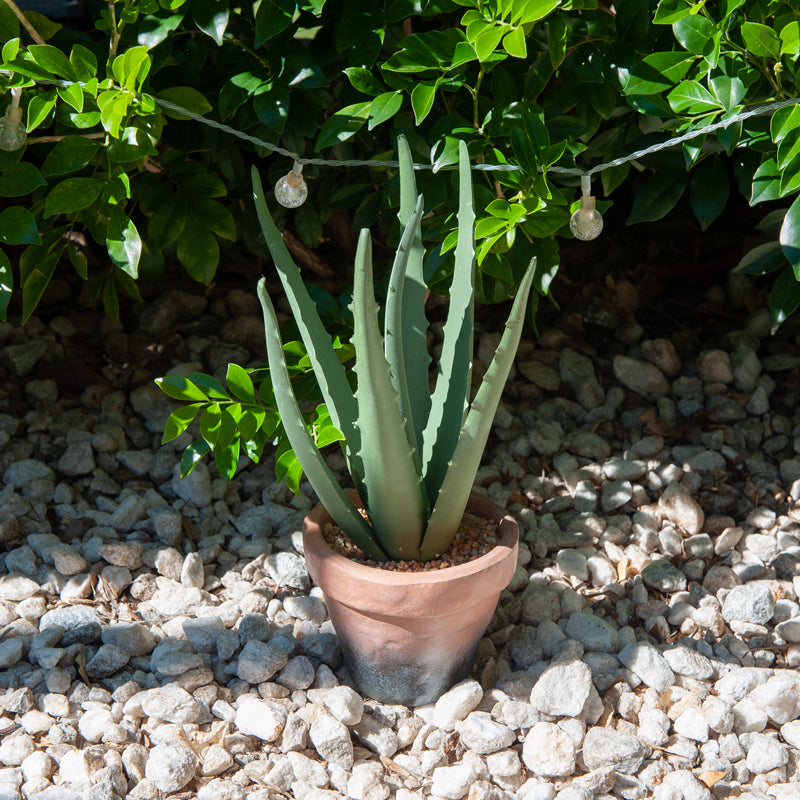 Artificial Plastic Aloe Vera EVA Pot - 29cms