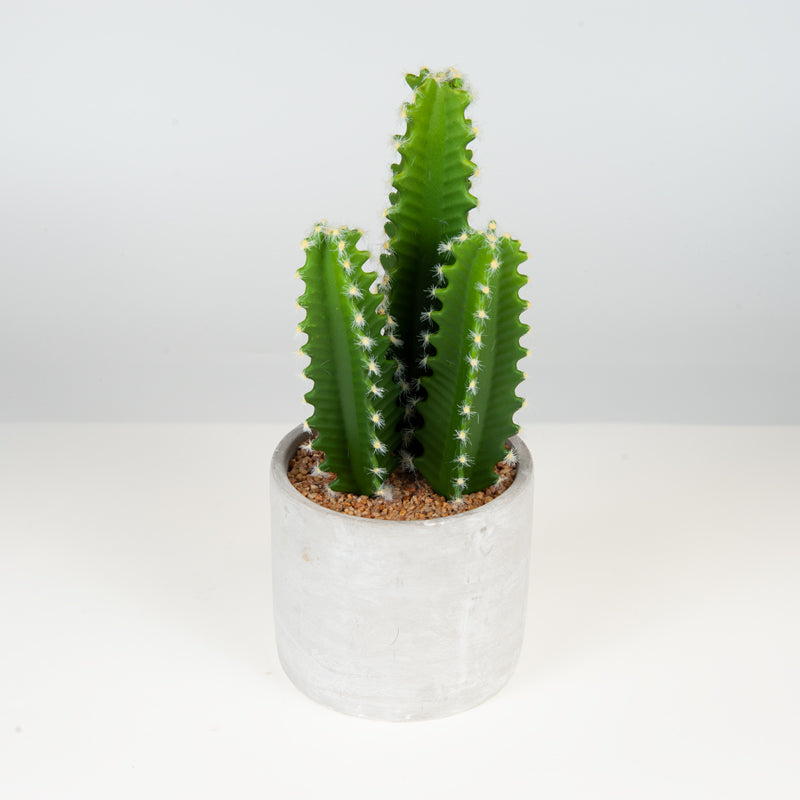 Artificial Plastic Cactus Cement Pot - 30cms