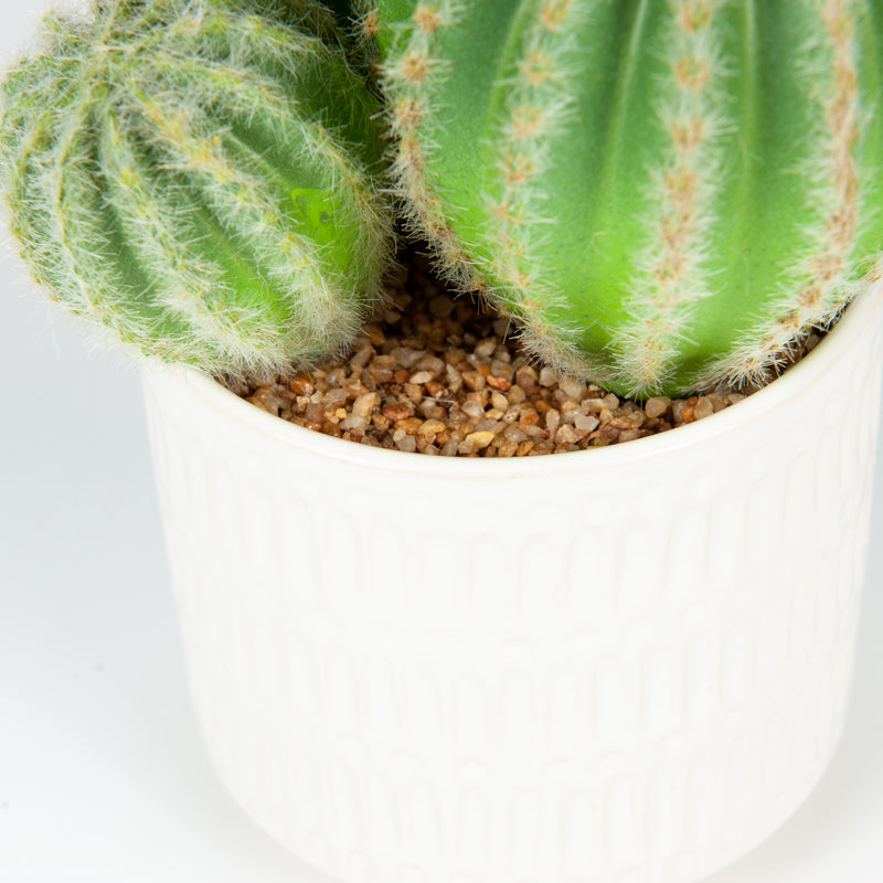 Artificial Plastic Cactus Ceramic Pot - 26cms