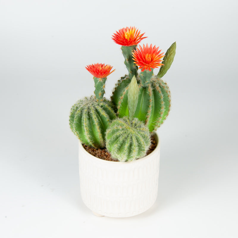 Artificial Plastic Cactus Ceramic Pot - 26cms