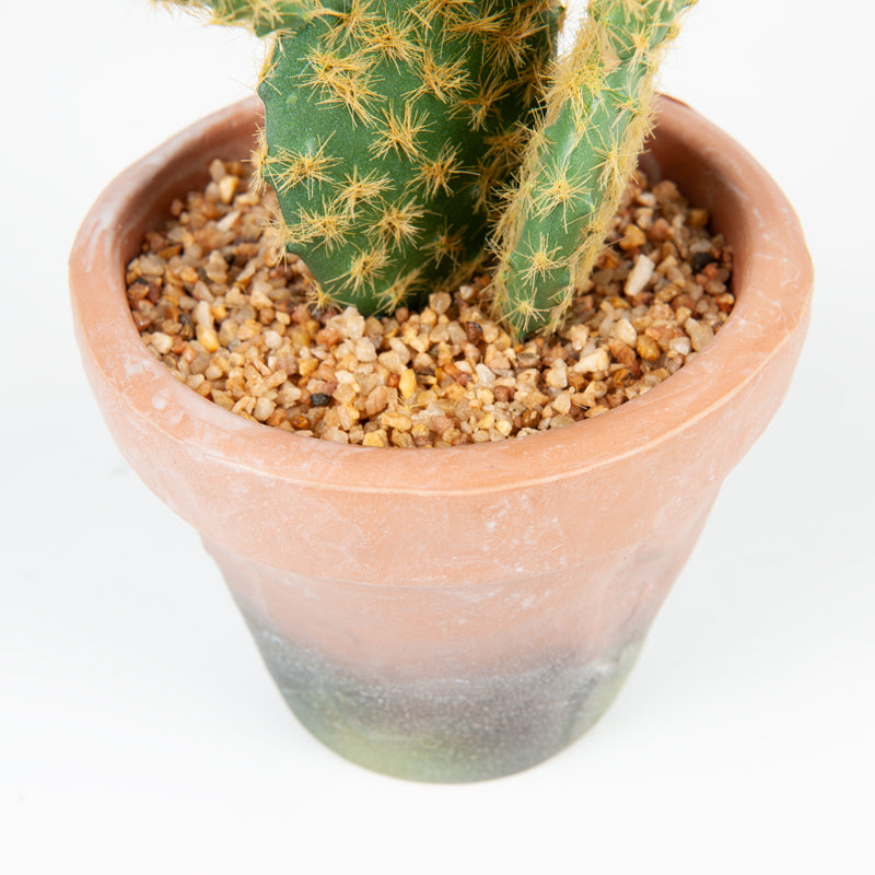 Artificial Plastic Cactus EVA Pot - 27cms