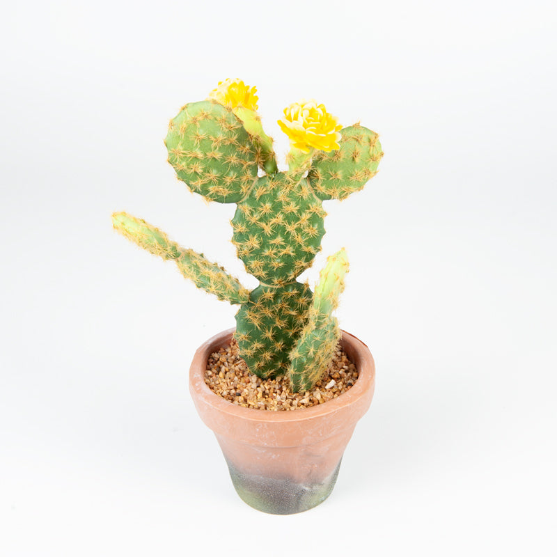 Artificial Plastic Cactus EVA Pot - 27cms