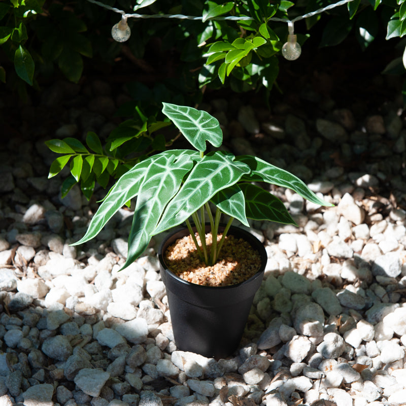 Artificial Elephant's Ear Plant Plastic Pot - 23cms