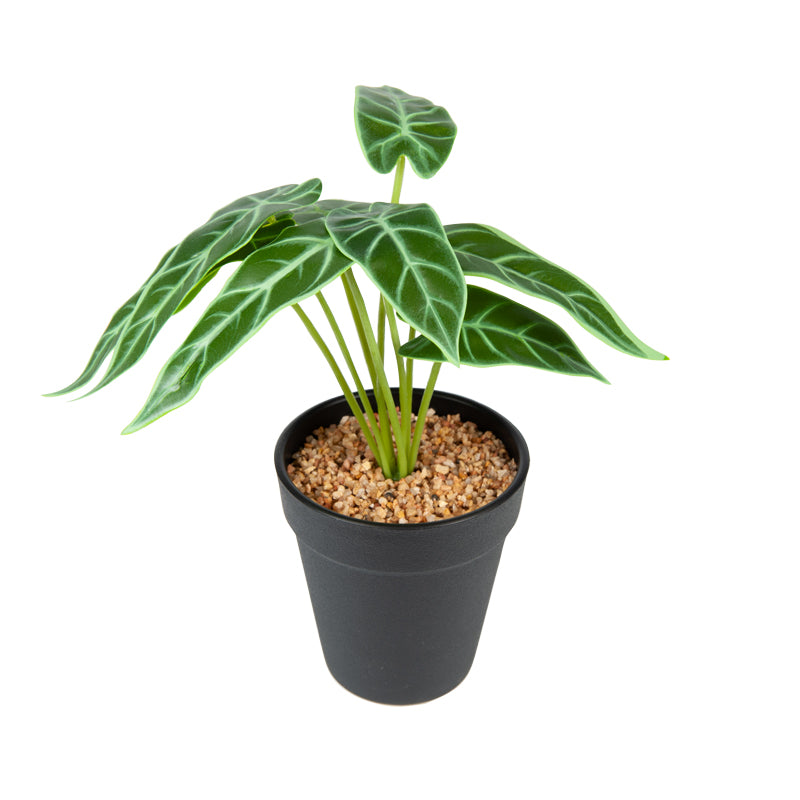 Artificial Elephant's Ear Plant Plastic Pot - 23cms