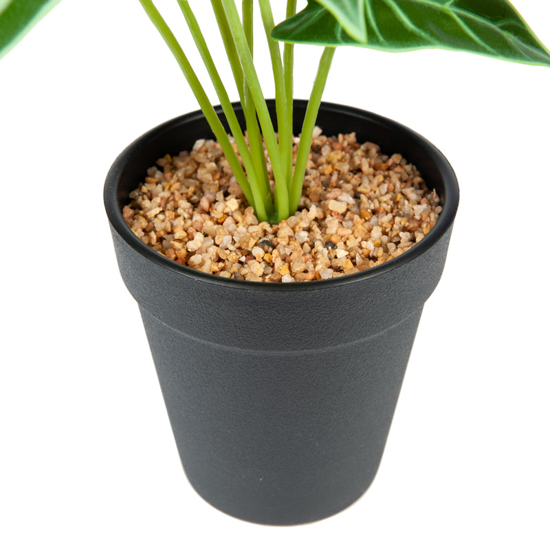 Artificial Elephant's Ear Plant Plastic Pot - 23cms