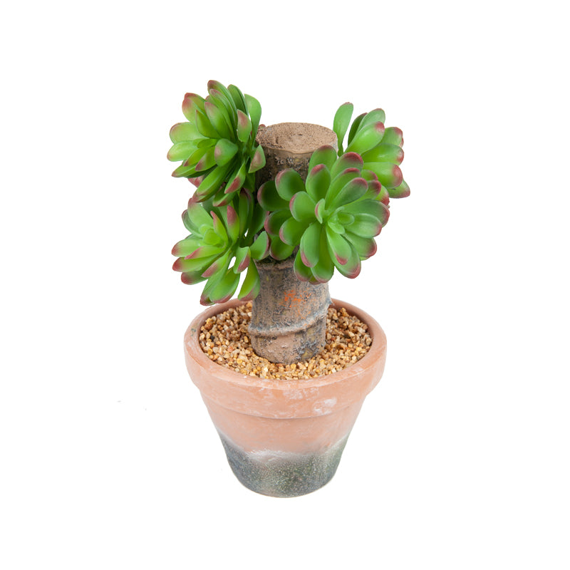 Artificial Plastic Lotus EVA Pot - 23cms