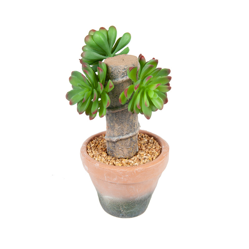 Artificial Plastic Lotus EVA Pot - 23cms