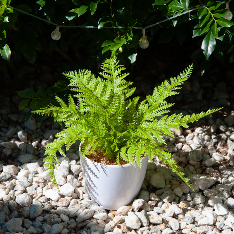 Artificial Plastic Silver Fern Melamine Pot - 29cms