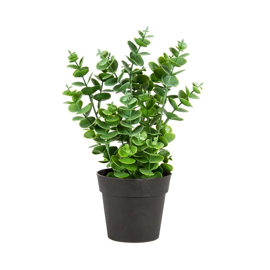 Artificial Potted Eucalyptus Plant