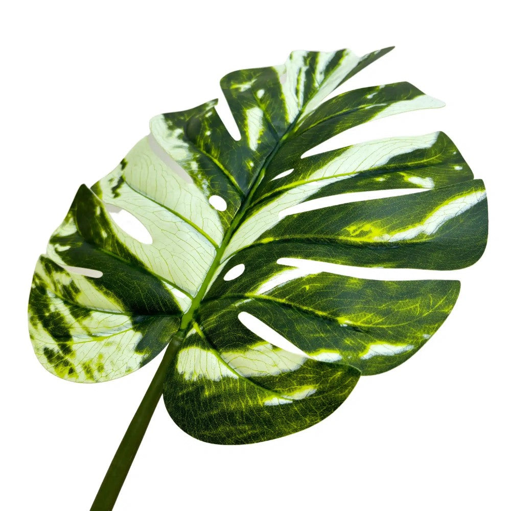 Artificial Potted Monstera Albo 150cms