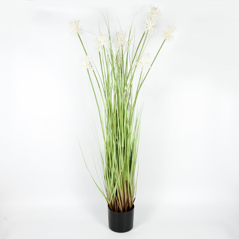 Artificial Sea Urchin Grass Plastic Pot - 122cms