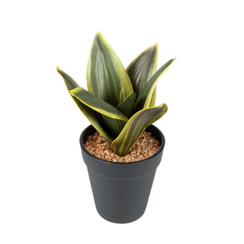 Artificial Snake Plant Plastic Pot - 20cms