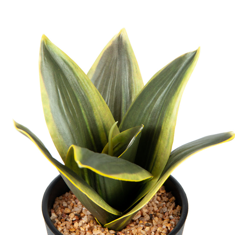 Artificial Snake Plant Plastic Pot - 20cms