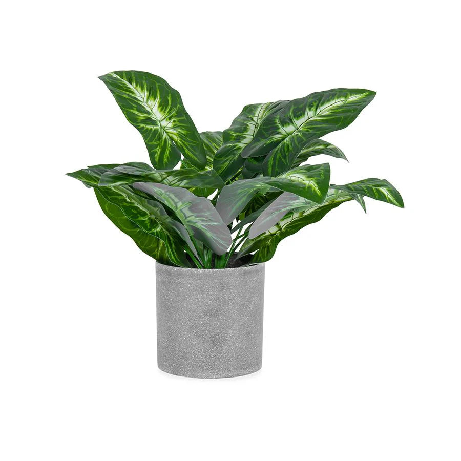 Artificial Verigated Plant in Grey Pot - 35x35cms