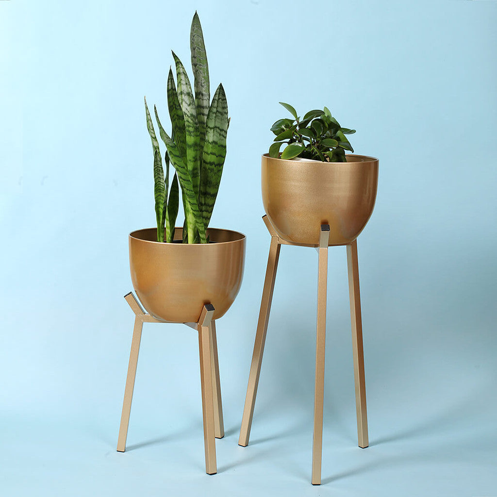 Artistic Gold Plant Stands - Set of 2