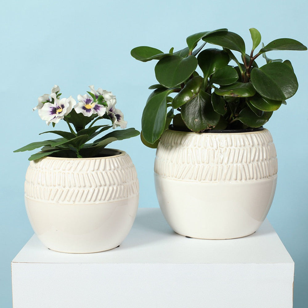 Artistic White Native Small Planter - Set of 6