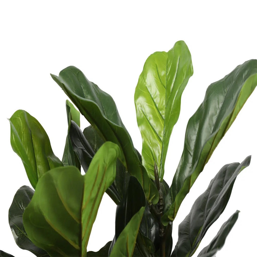 Beauty Artificial Fiddle Fig Tree 70cms