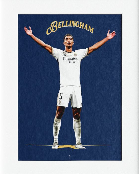 Bellingham Mounted Print Wall Decor - 40x50cms