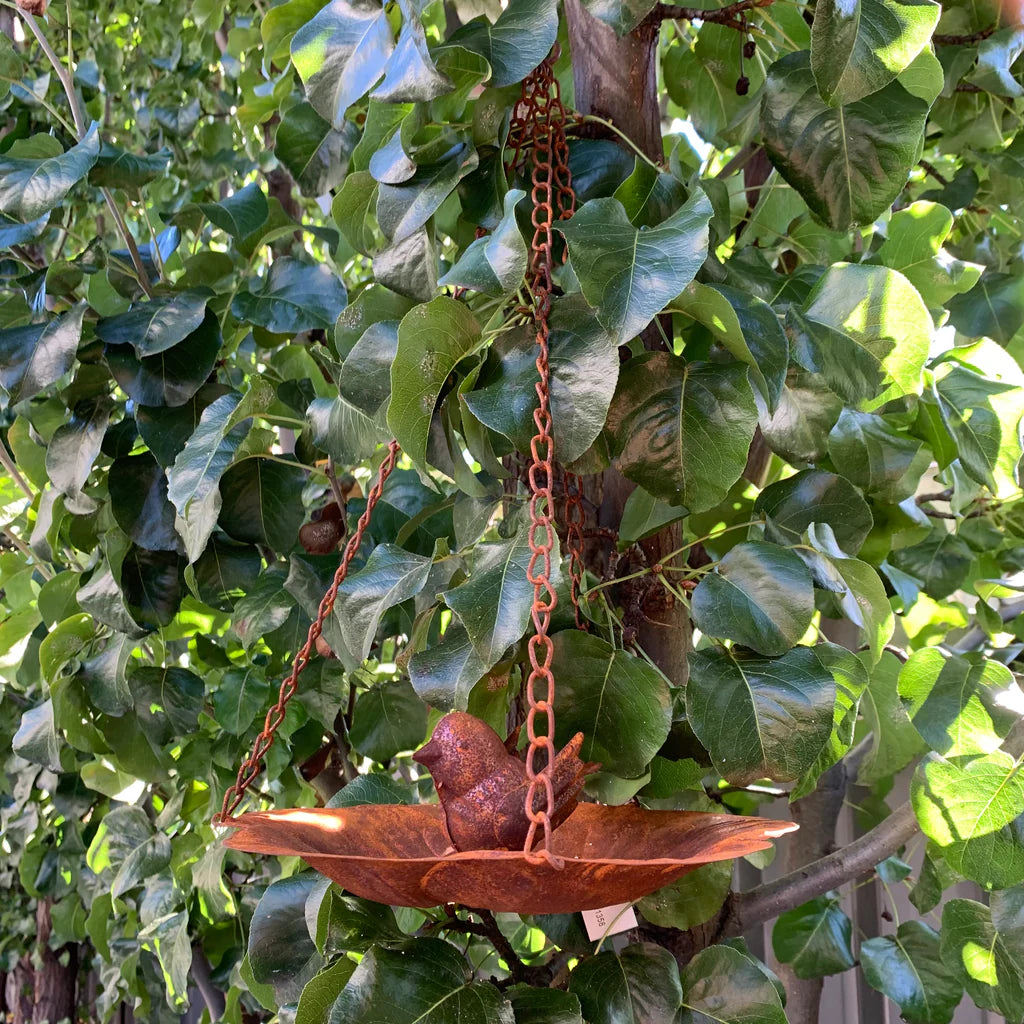 Bird Feeder Hanging Petal Tray with Bird