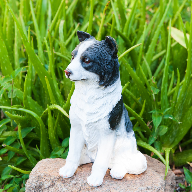 Sitting Border Collie Statue