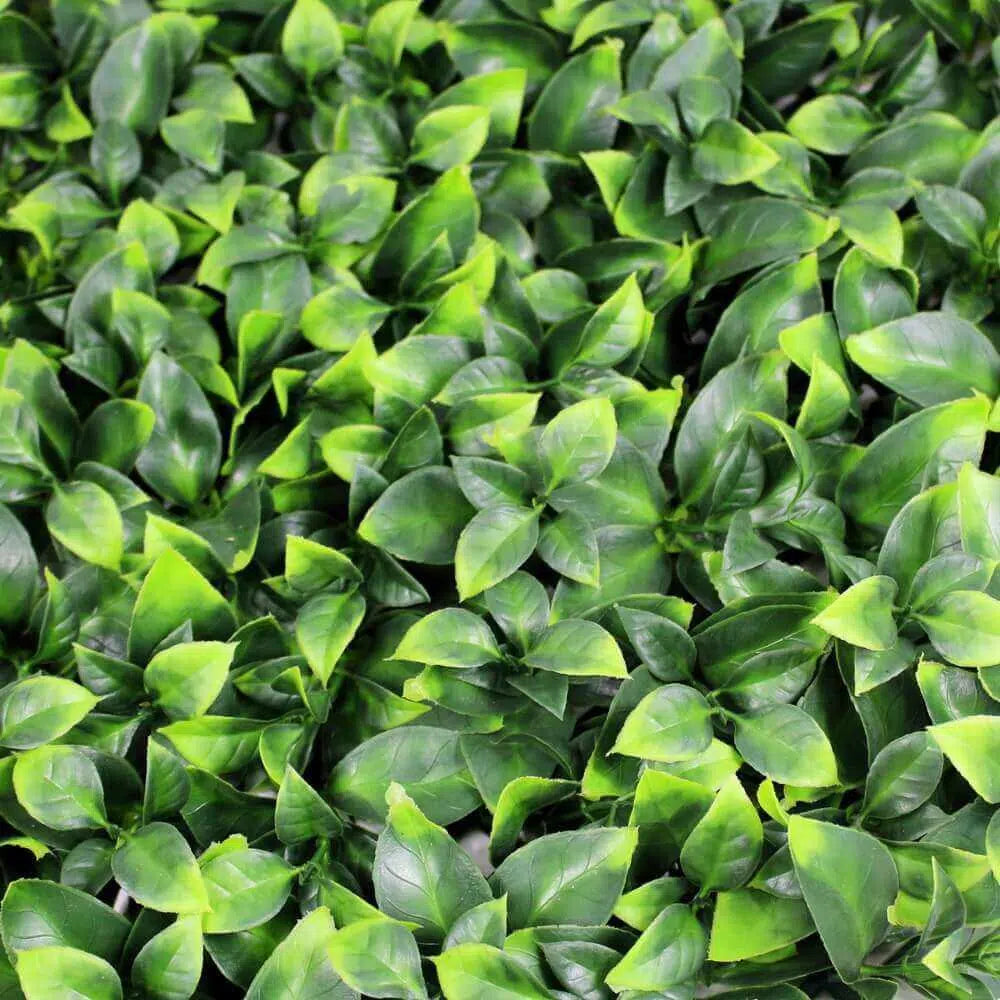 Botany UV Resistant Vertical Garden 1m X 1m