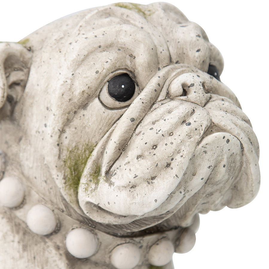 Bulldog Figurine Statue With Ornate Collar