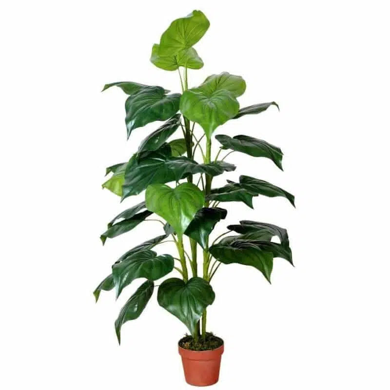 Bushy Artificial Taro Plant 150cms