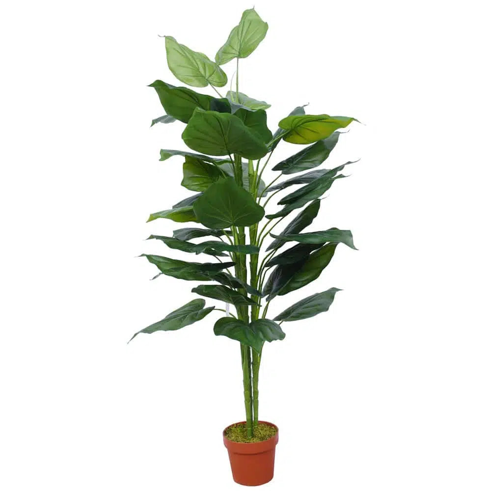 Bushy Artificial Taro Plant 150cms