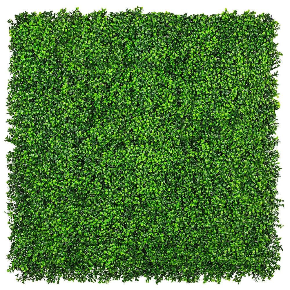 Buxus UV Resistant Vertical Garden 1m X 1m