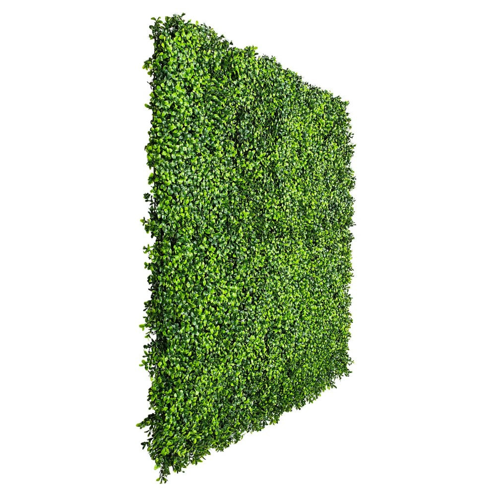 Buxus UV Resistant Vertical Garden 1m X 1m