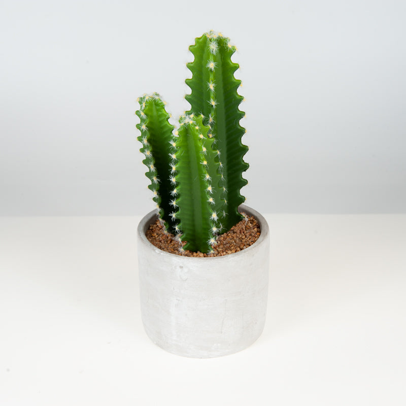 Artificial Plastic Cactus Cement Pot - 30cms