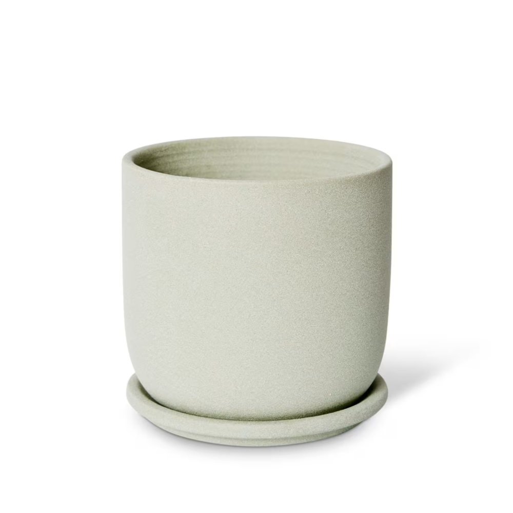 Ceramic Allegra Pot with Saucer - Available in 2 colors - 15 x 15 x 15cms