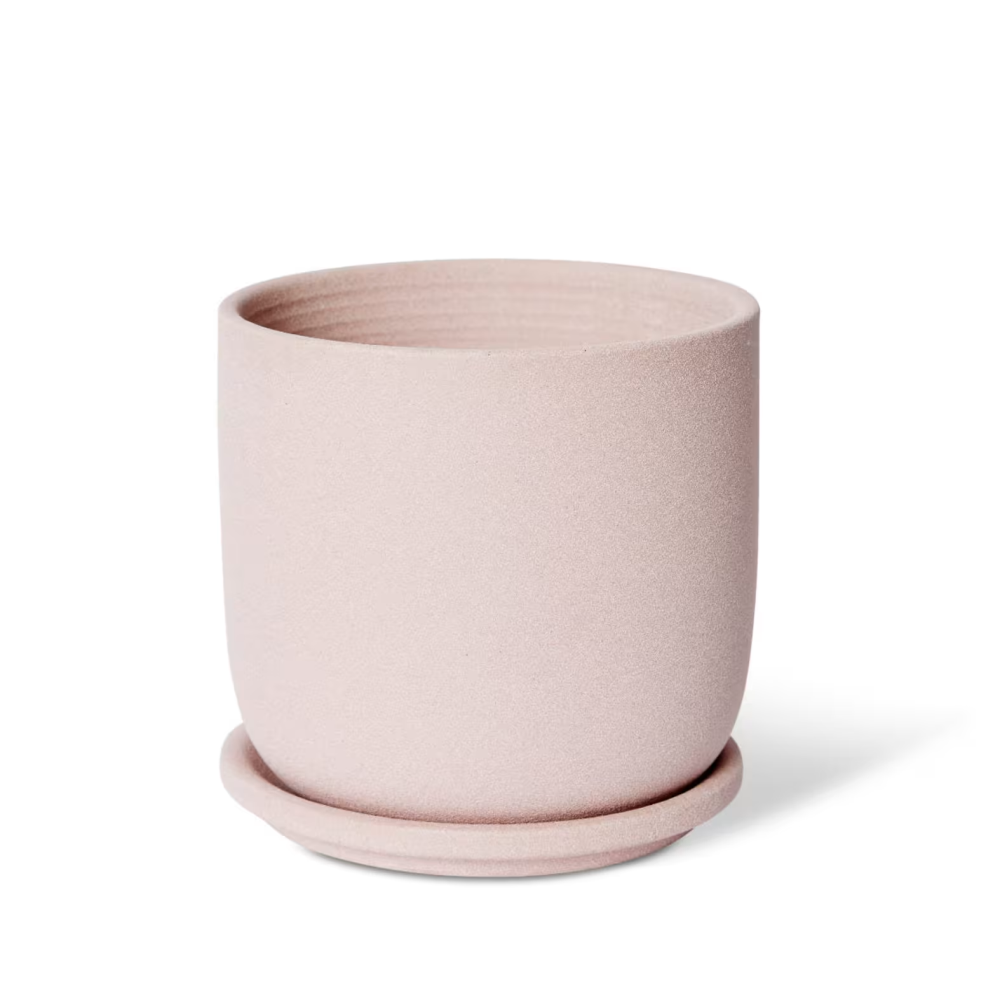 Ceramic Allegra Pot with Saucer - Available in 2 colors - 15 x 15 x 15cms