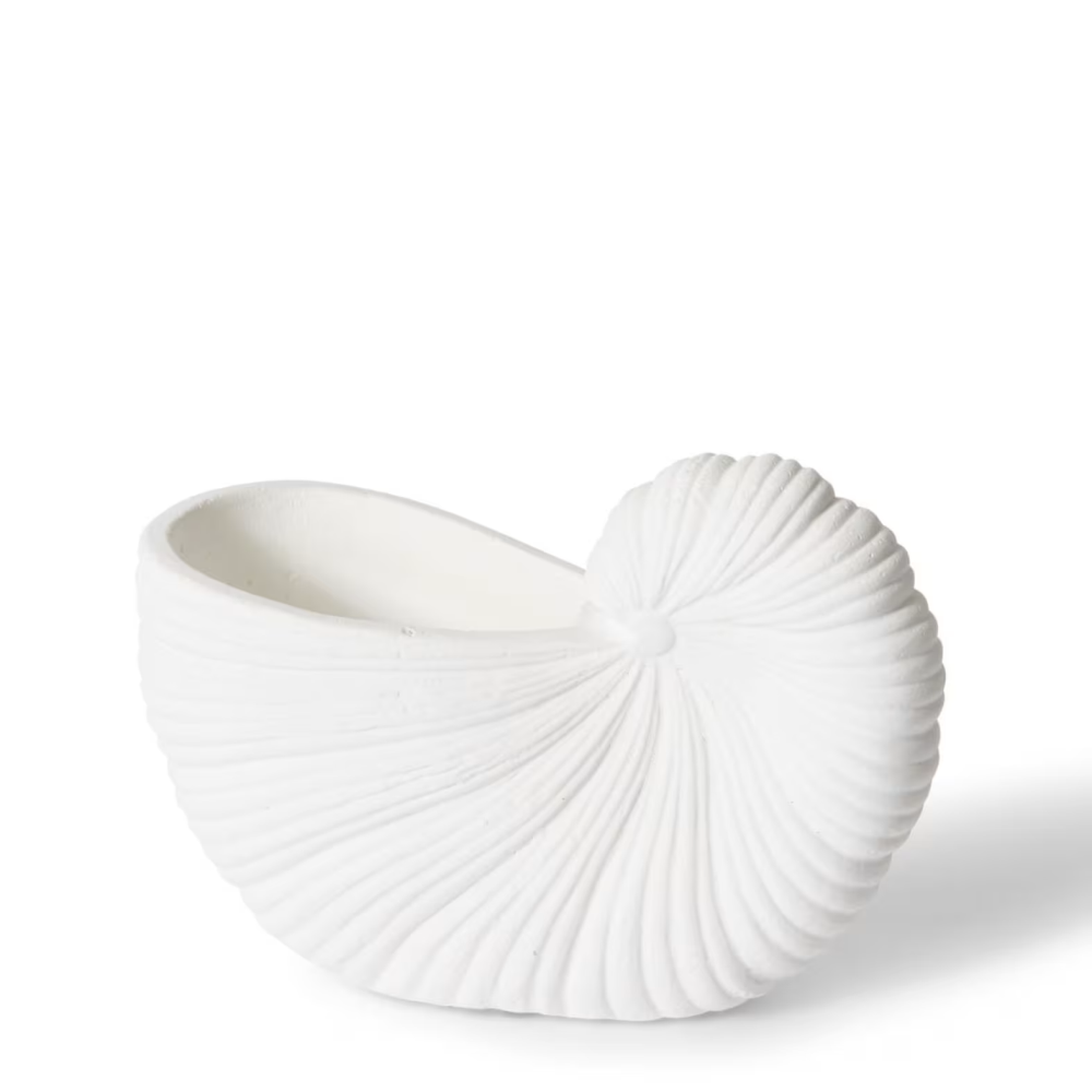 Ceramic Conch Shell Plant Pot - White - Available in 2 Sizes