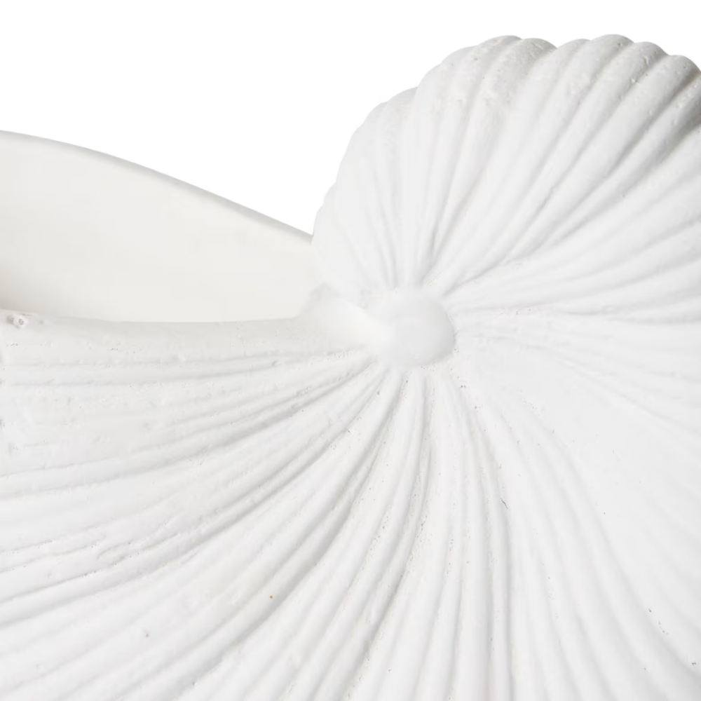 Ceramic Conch Shell Plant Pot - White - Available in 2 Sizes