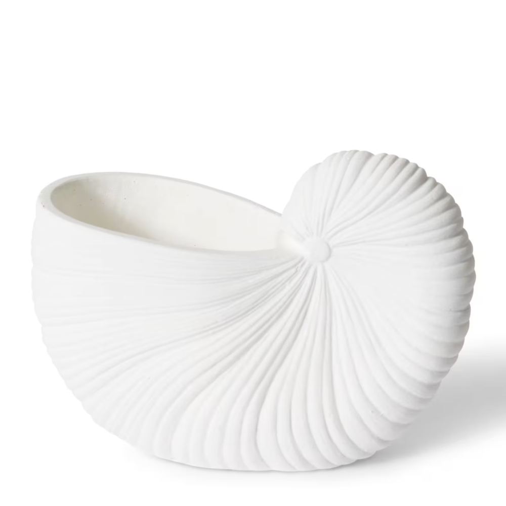 Ceramic Conch Shell Plant Pot - White - Available in 2 Sizes