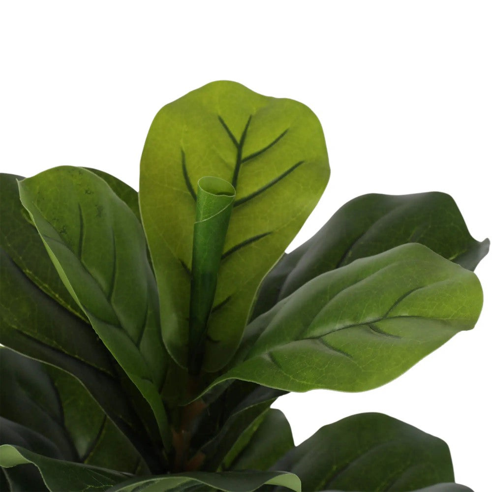 Charisma Artificial Fiddle Fig 130cm