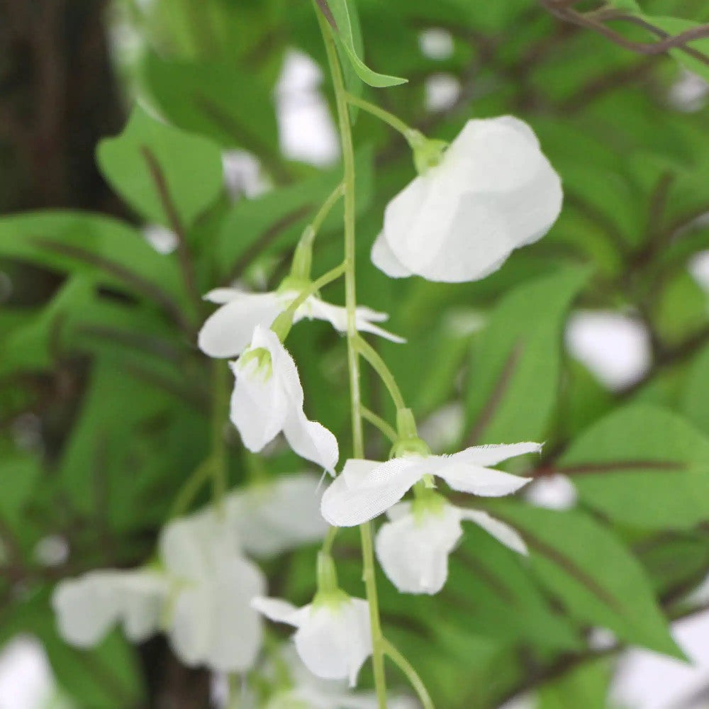 Charming Artificial Wisteria With White Flowers 180cms