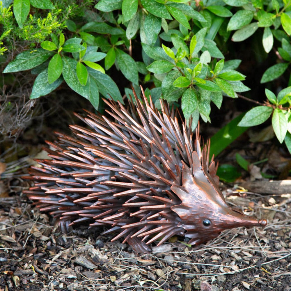 Charming Australian Echidna Garden Sculpture