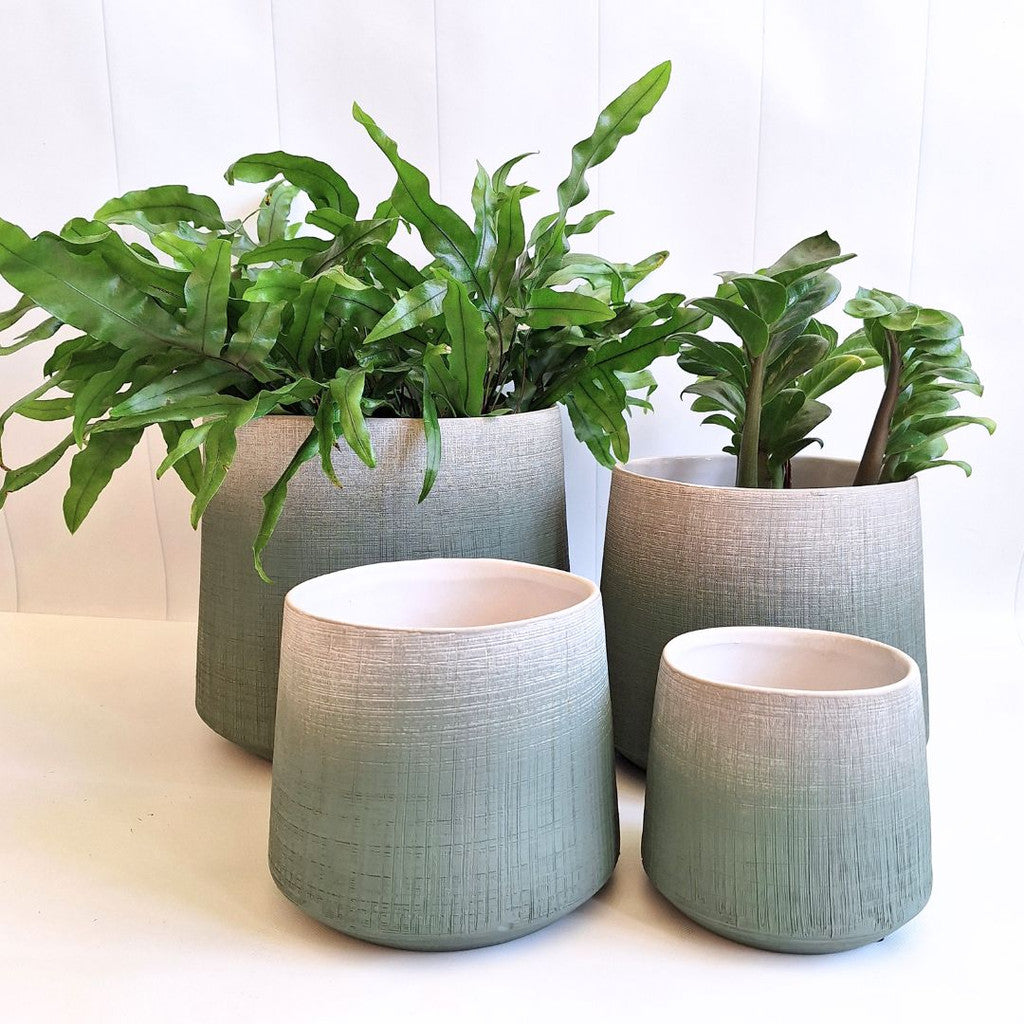 Charming Horizon Collection Pots - Patina Green - Set of 4