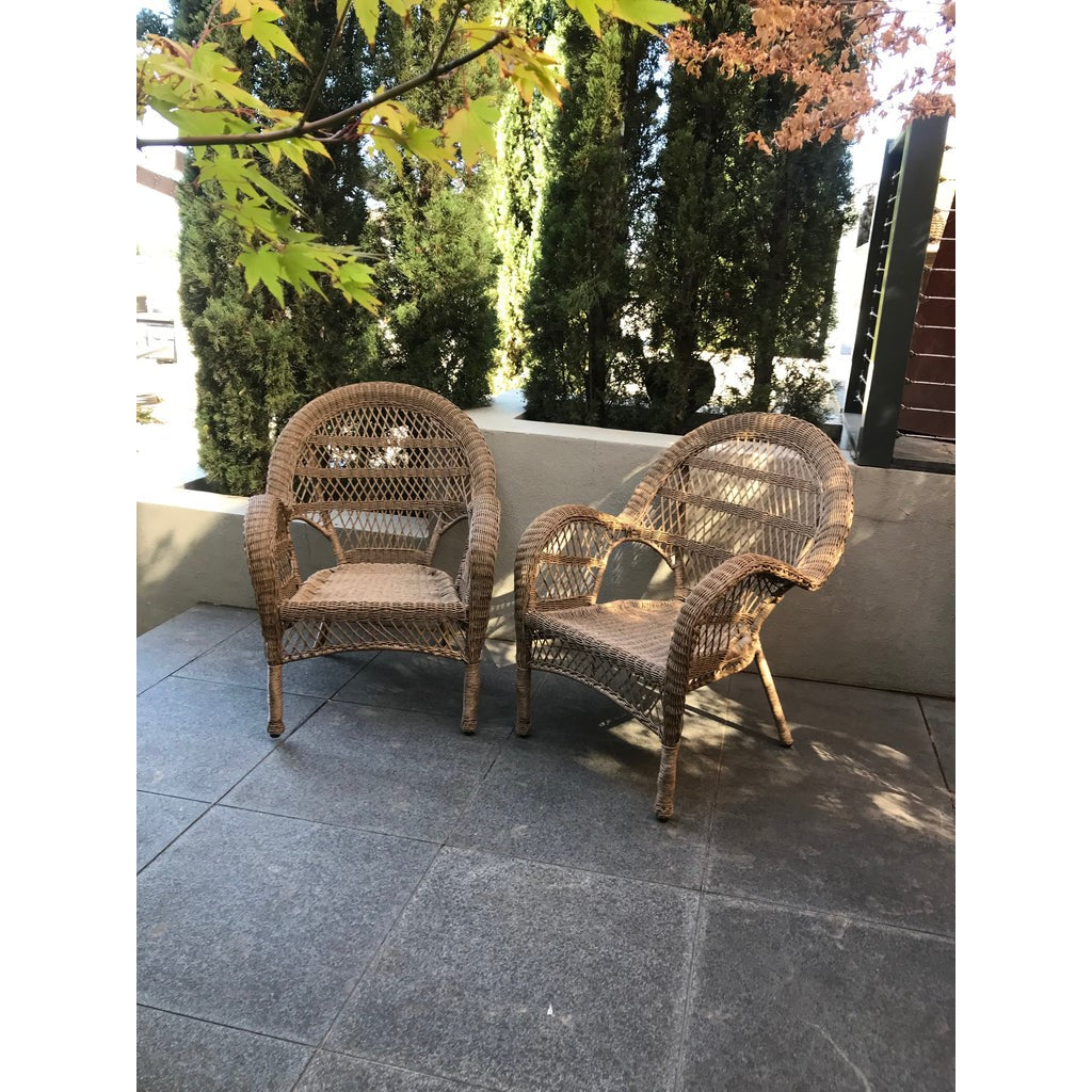 Classic Elegance Brown Poly Wicker Chairs - Set of 2