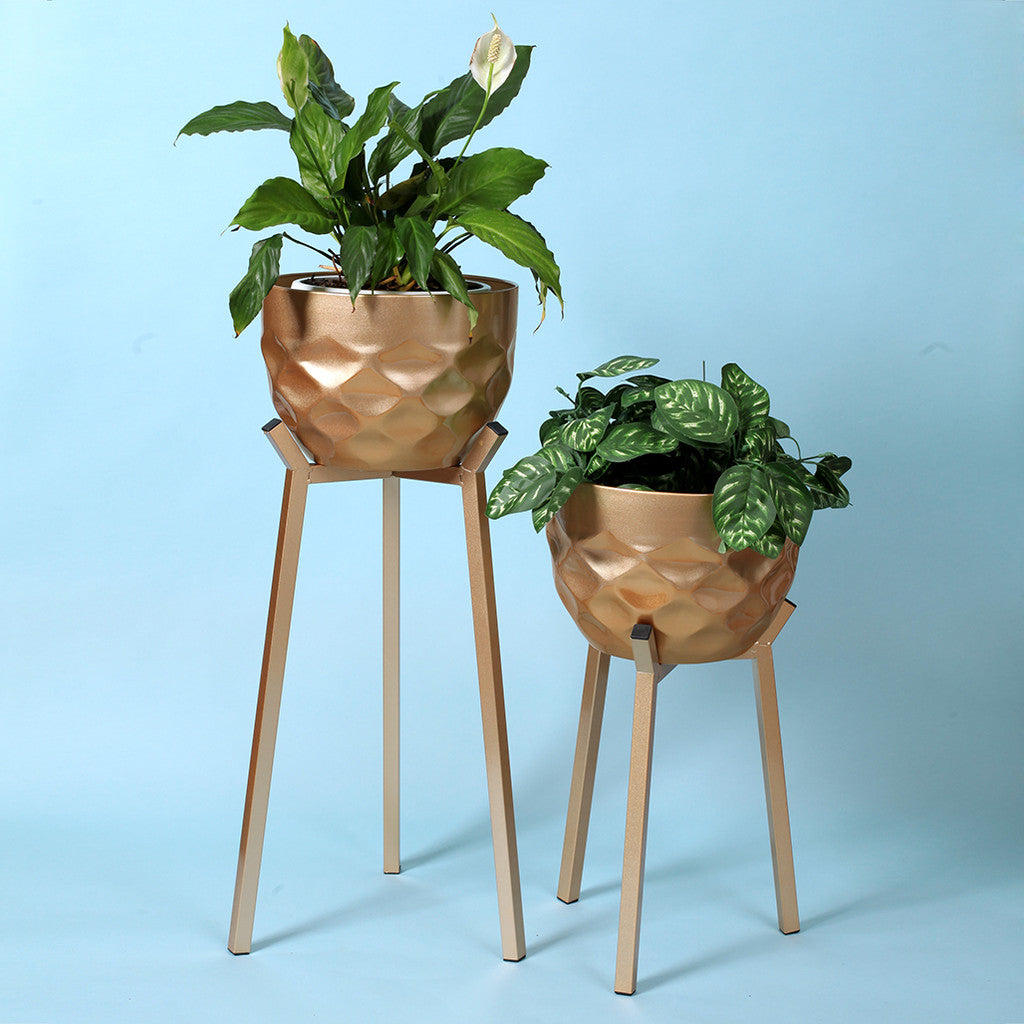 Classic Gold Patterned Plant Stand - Set of 2