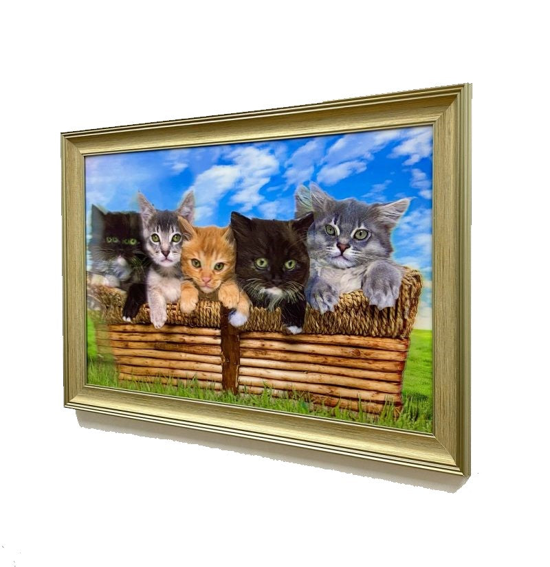 Classy 5D Photo Frames - Cute Kitten