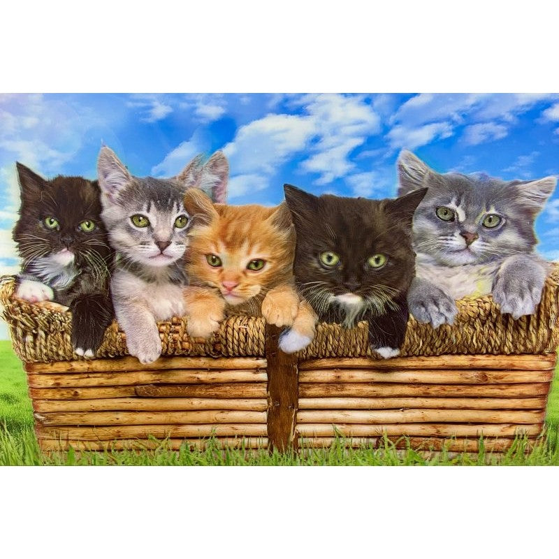 Classy 5D Photo Frames - Cute Kitten