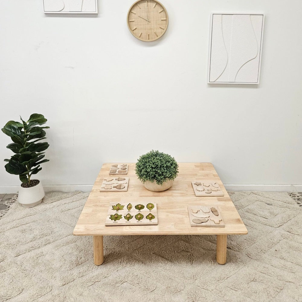 Contemporary Wooden Square Low Table