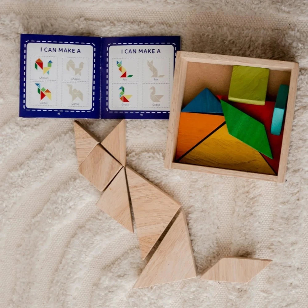 Creative Double Tangram Puzzle Bundle