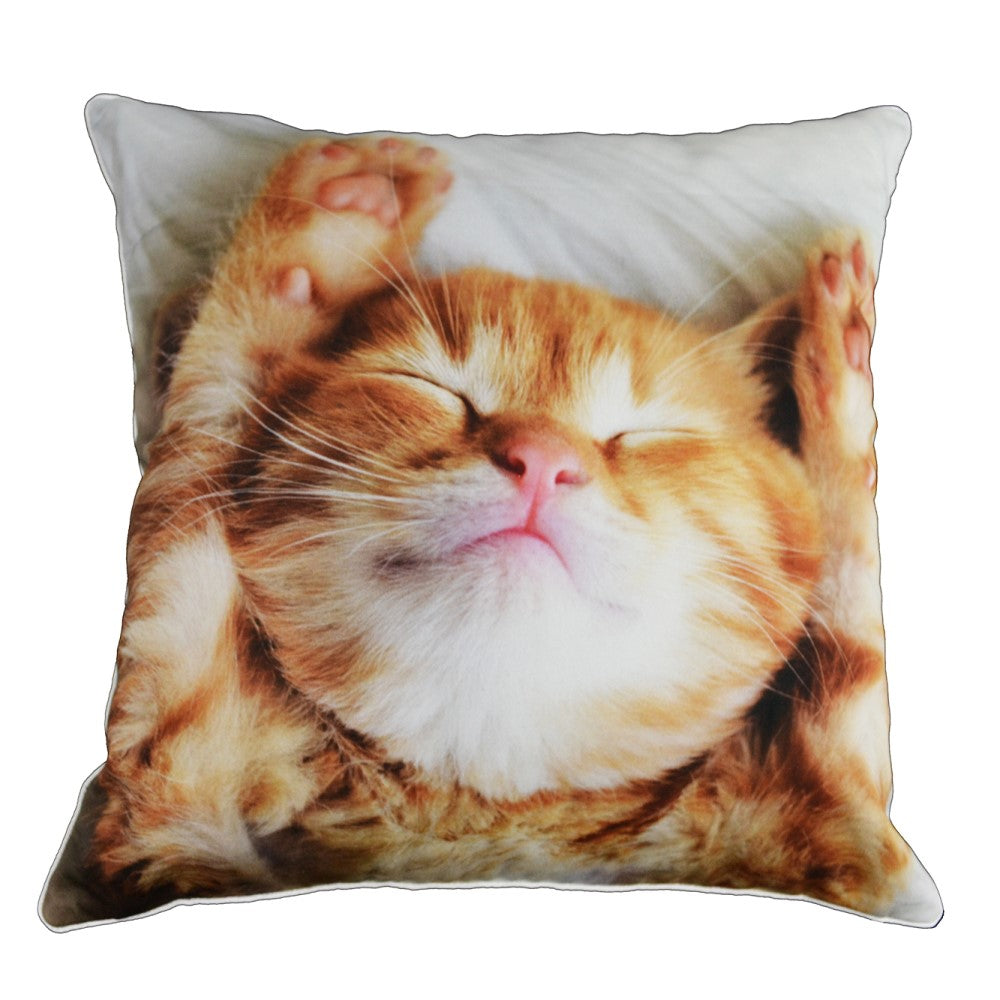 Cute Kitten Cushion With Recycled Fill 45 X 45cms