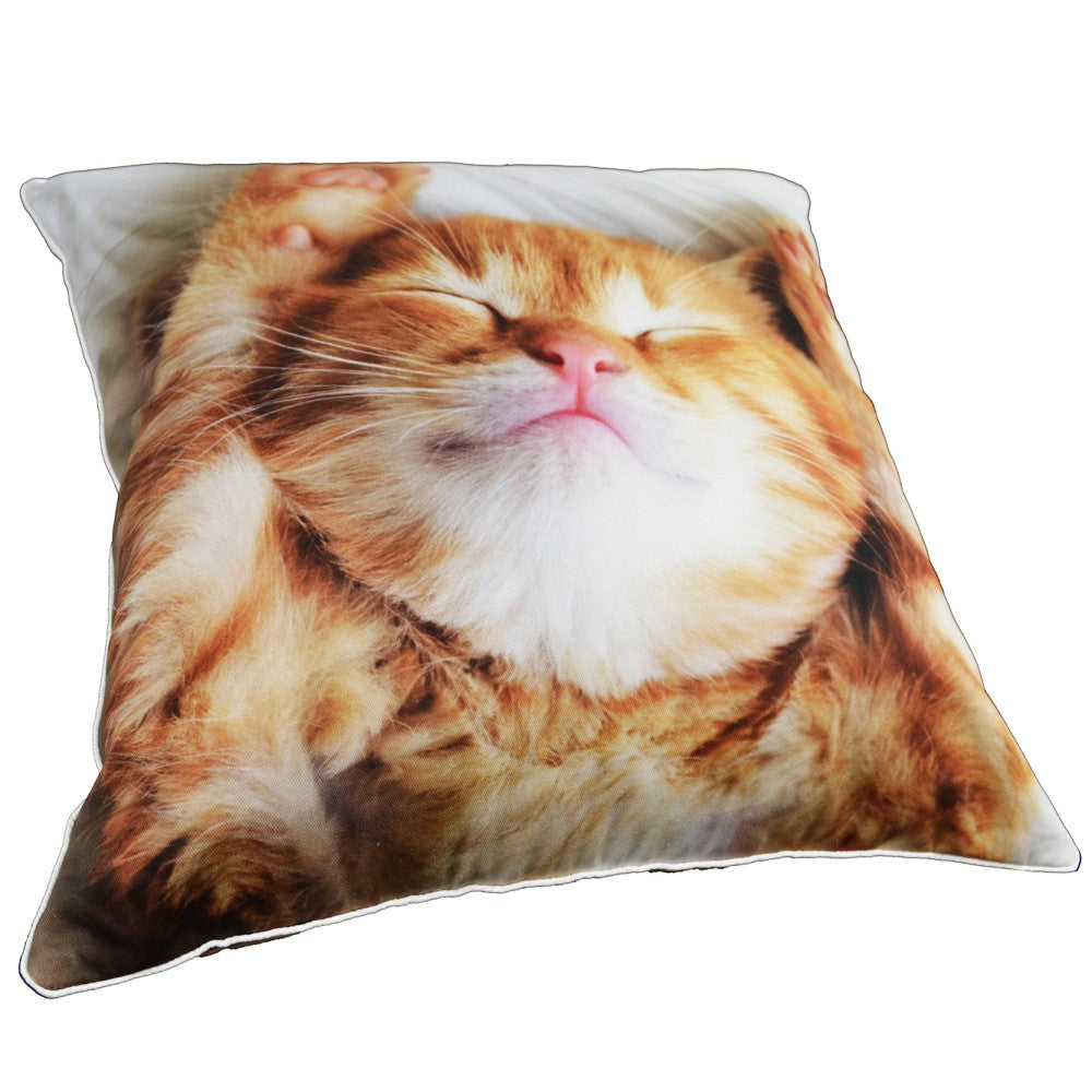 Cute Kitten Cushion With Recycled Fill 45 X 45cms